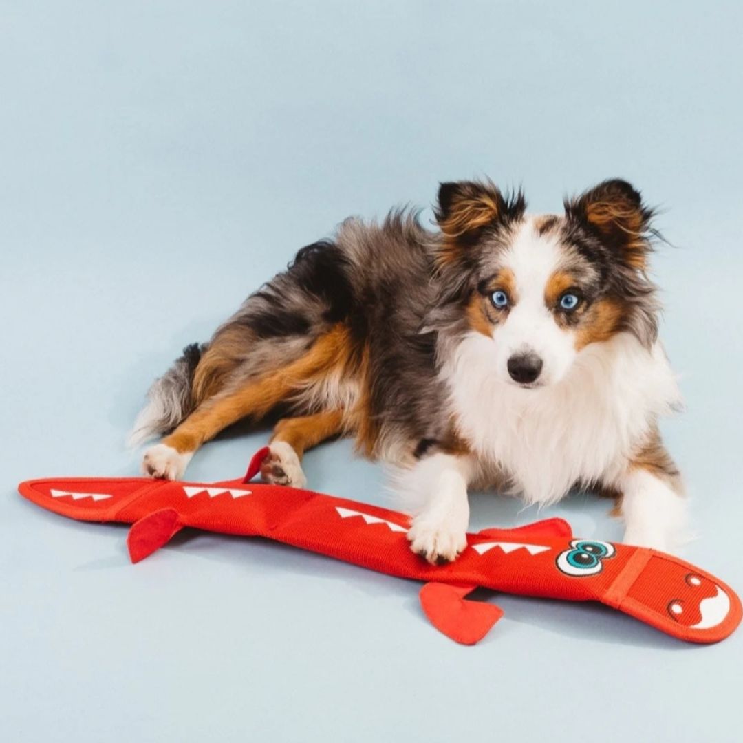 Outward Hound Fire Biterz Large Dragon Red 3 Squeaker