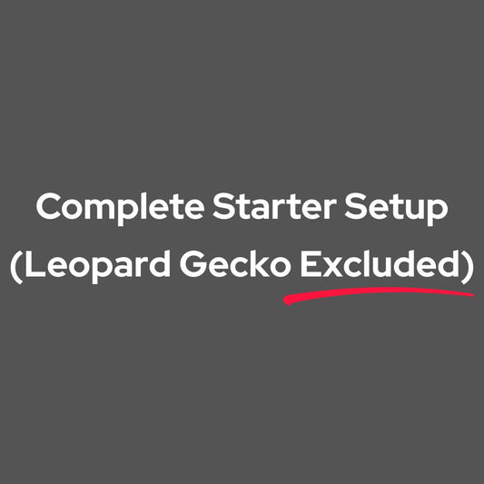 Leopard Gecko Starter Habitat – Beginner Ready Setup (Leopard Gecko Excluded)
