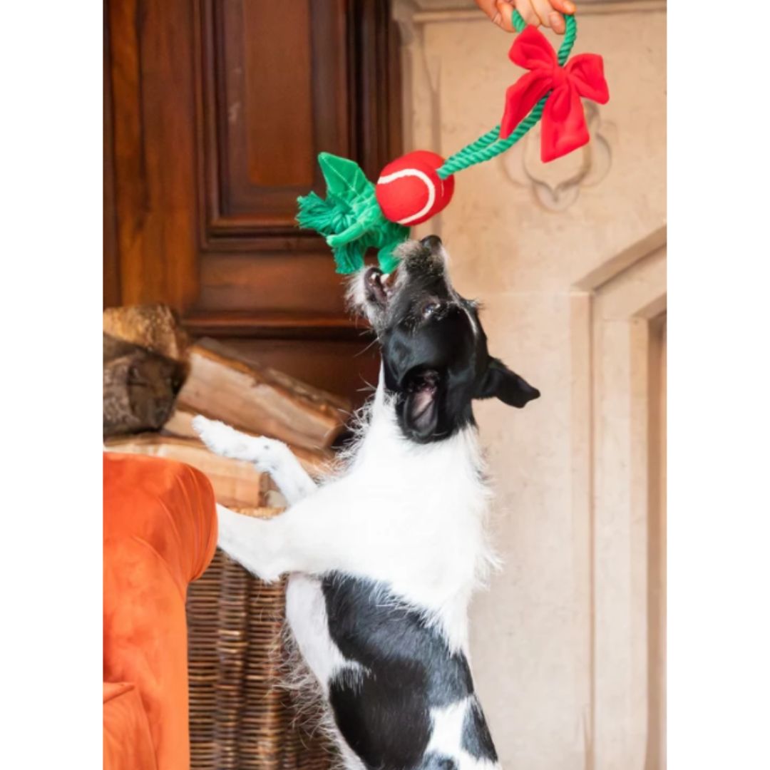 Holly Jolly Rope Toy