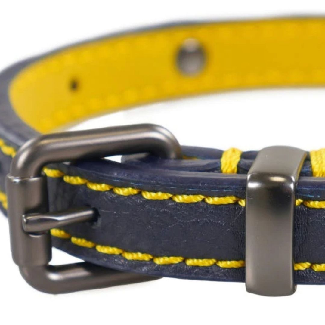 Rosewood & Joules - Navy Leather Collar