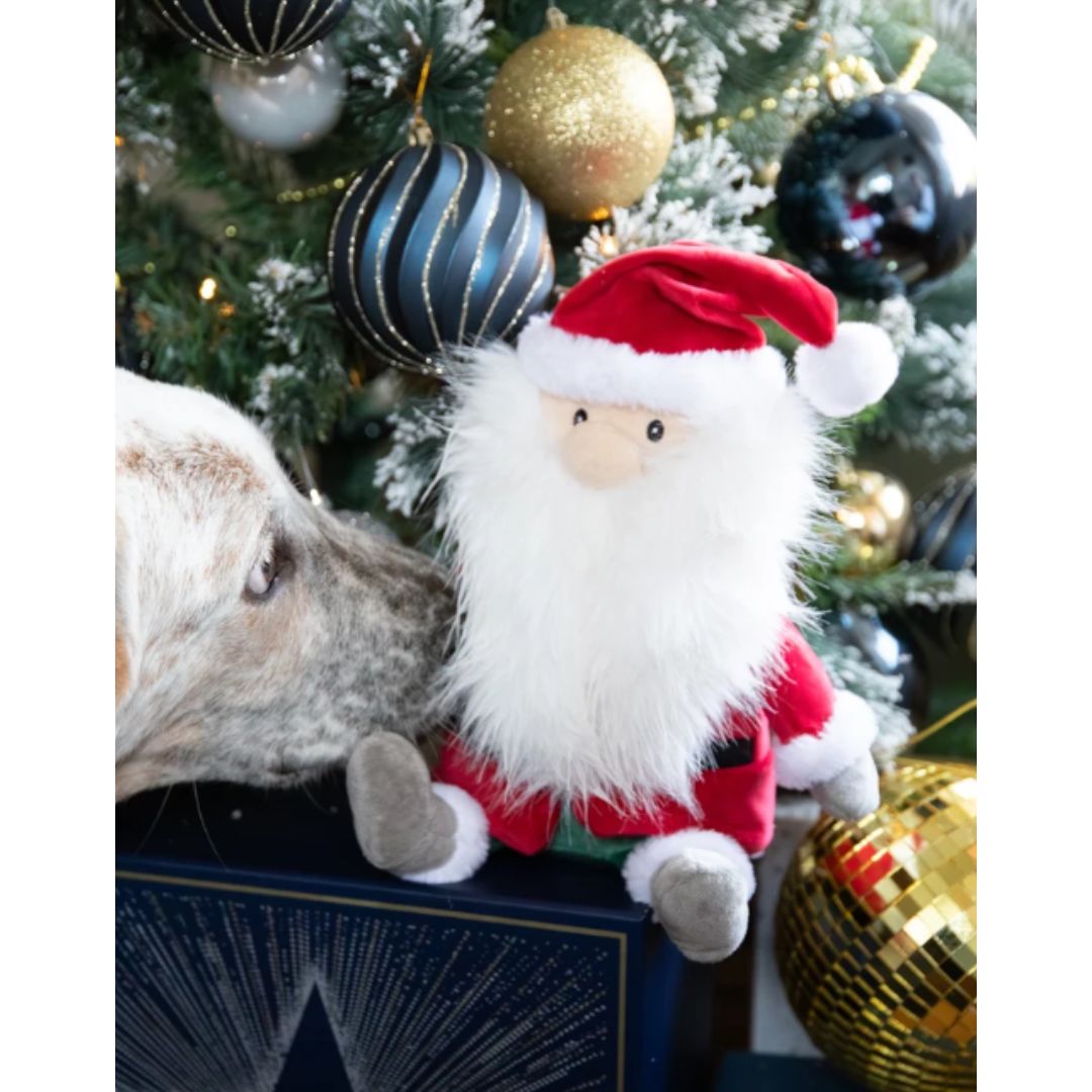 Sebastian Santa