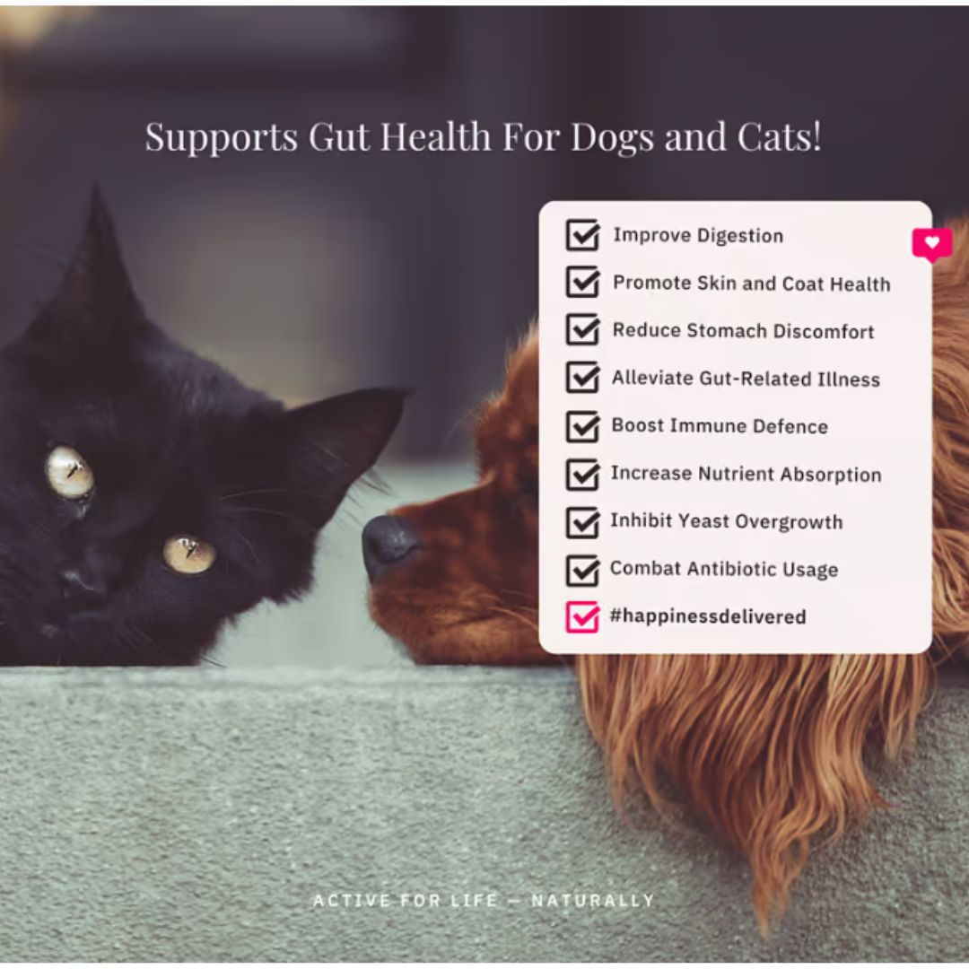 NutriFlex® FloraMax Probiotic for Dogs and Cats – Digestive Health and Gut Balance