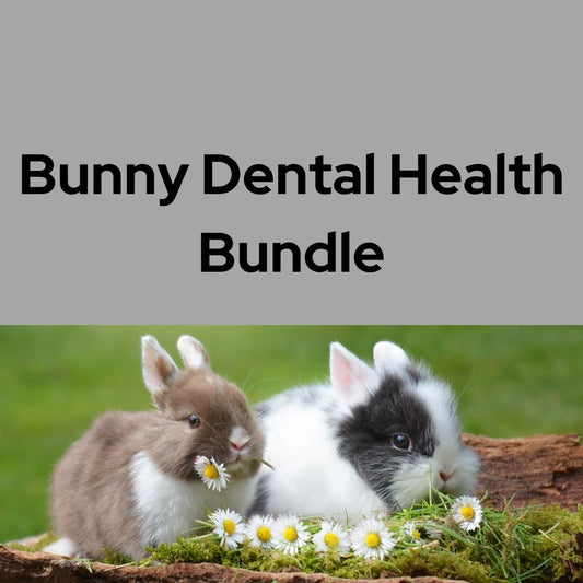 Bunny Dental Health Bundle