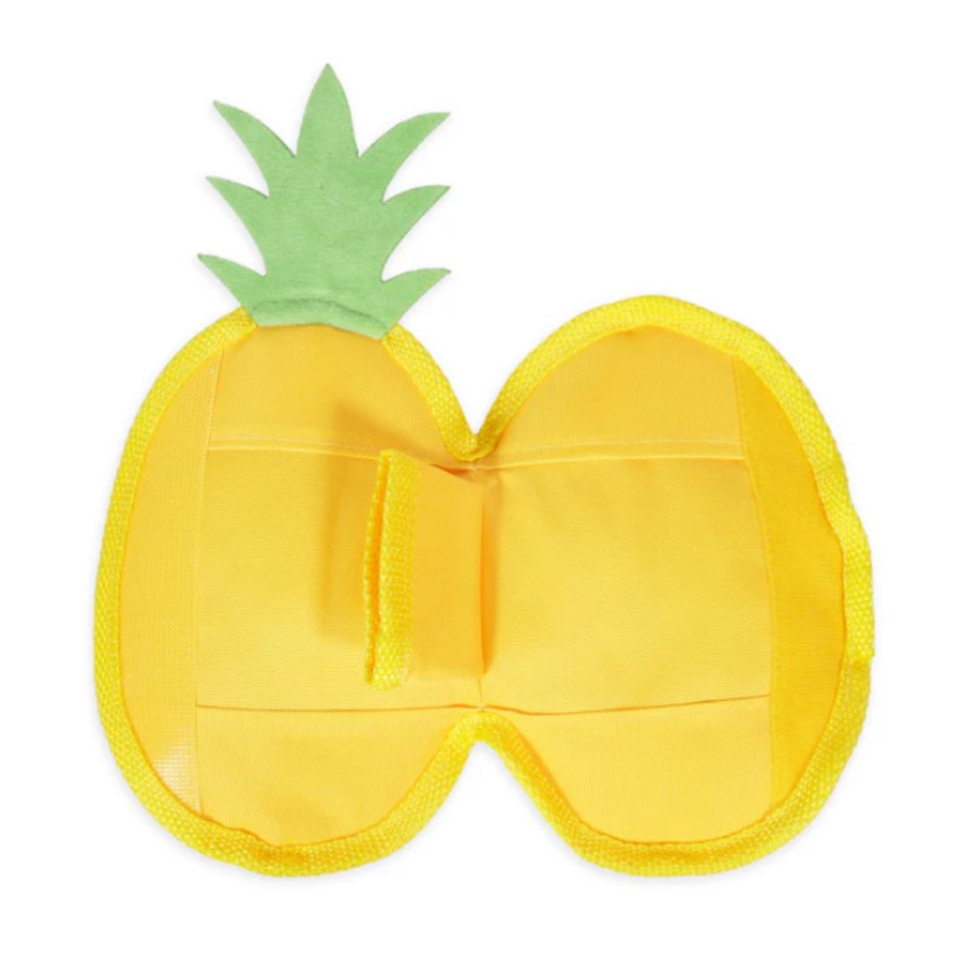 Rosewood Pineapple Hide ‘n Treat Toy