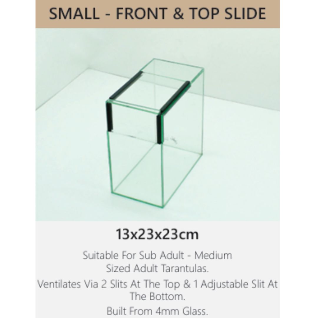 Small Top & Front Slide Glass Terranium