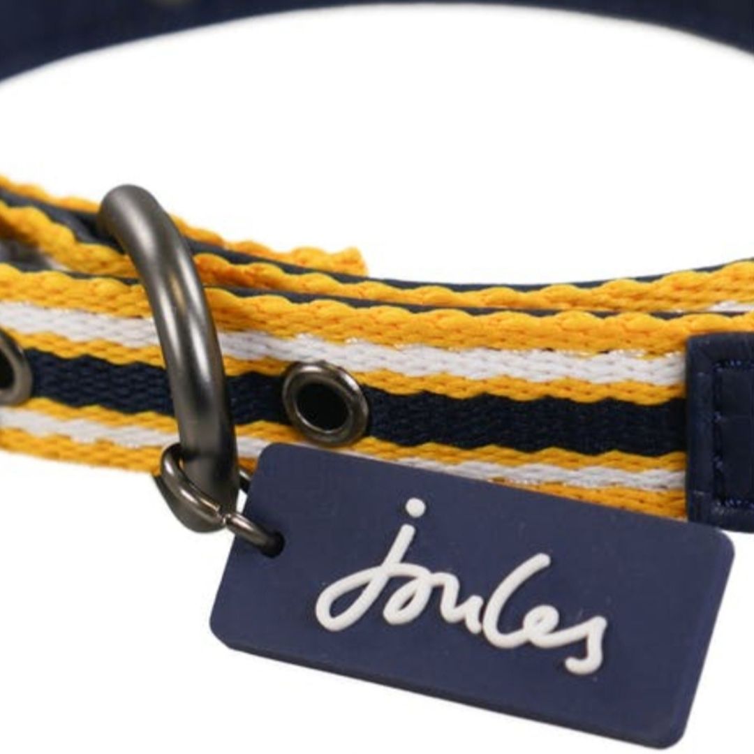 Rosewood & Joules Navy Coastal Dog Collars