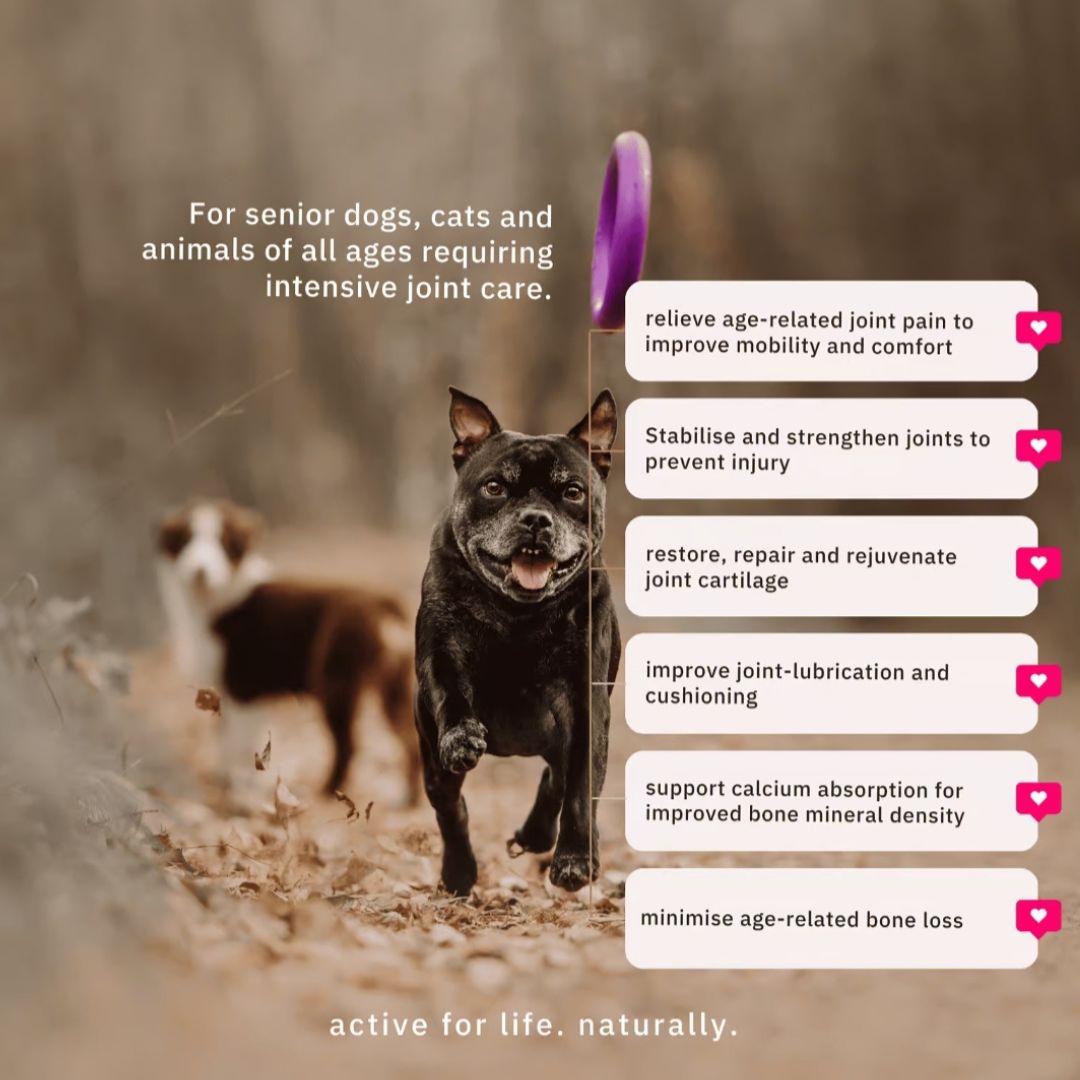 Nutriflex® Hip & Joint Care Advanced