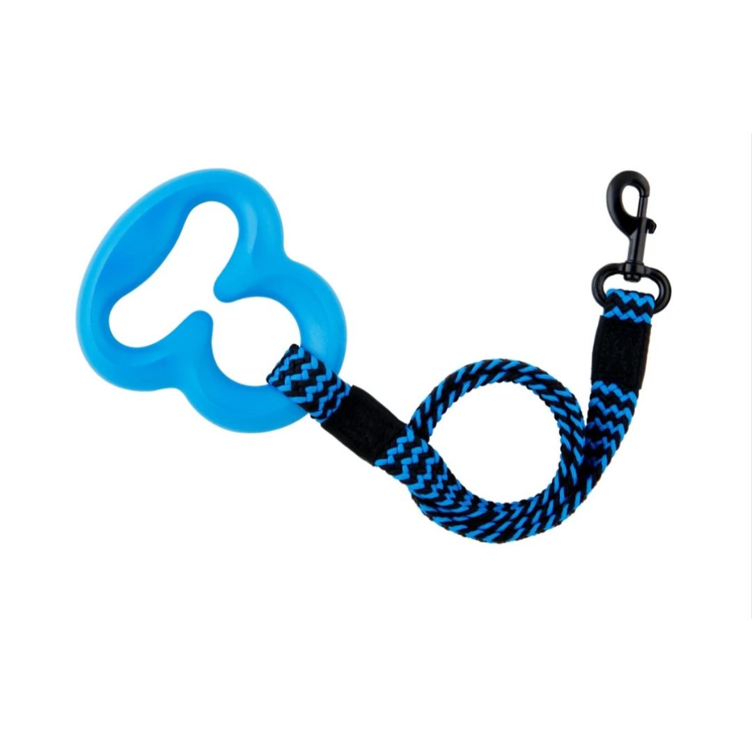 L'Chic Octobungee Elastic Leash