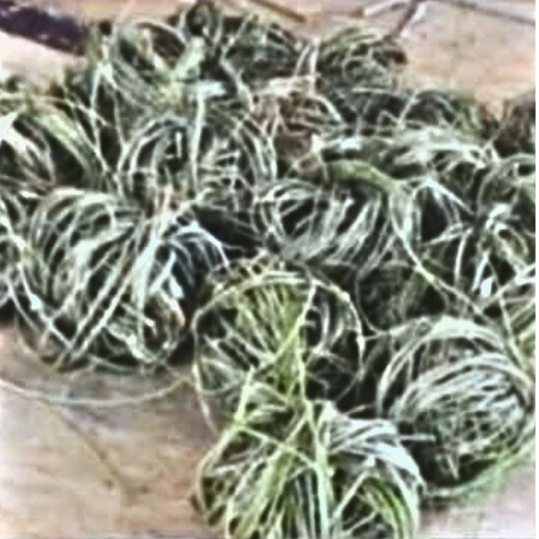 Willow Ball