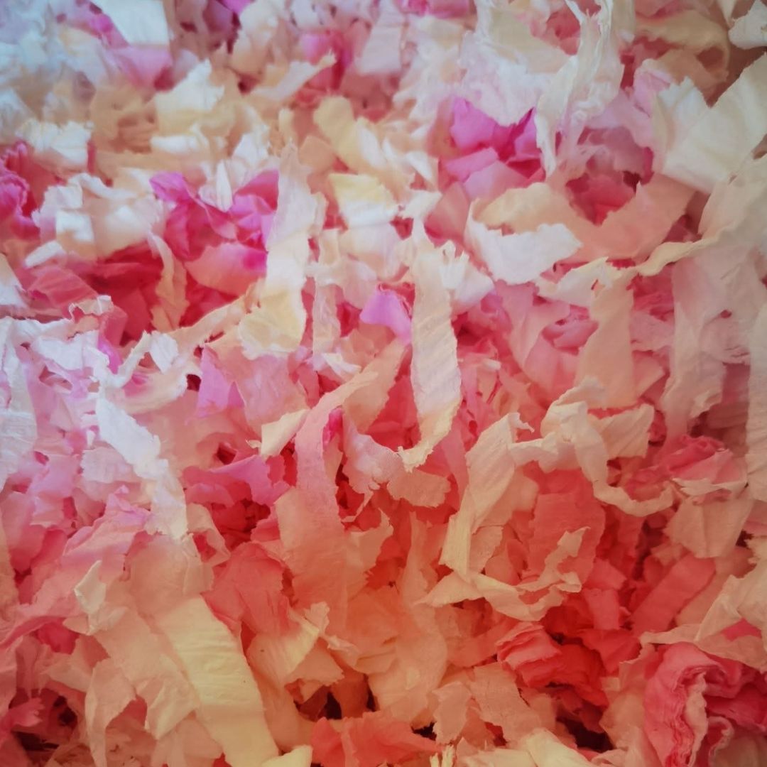 Monthly Hamster Essentials Box