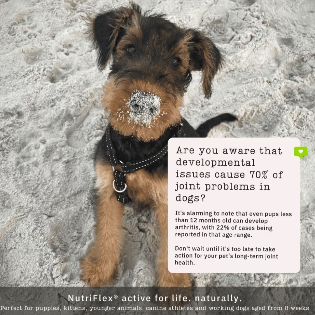 Nutriflex® Maintenance