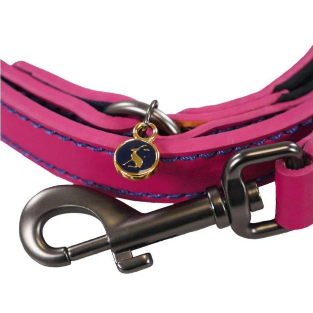 Rosewood & Joules - Pink Leather Lead