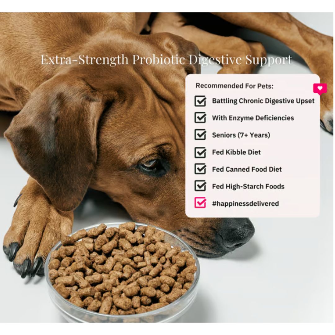 NutriFlex® DigestiMax - Digestive Enzymes with Pre and Probiotics For Dogs and Cats