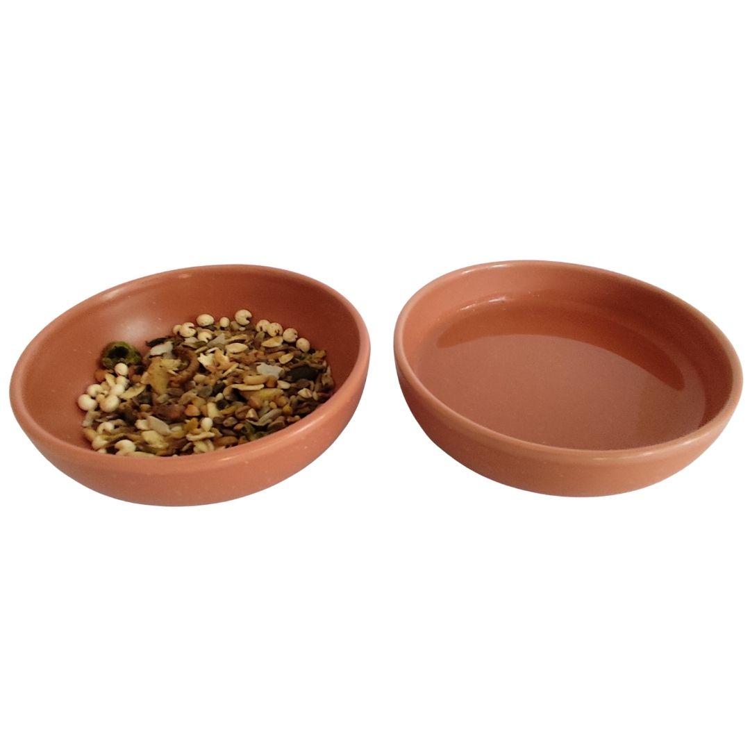 Small Animal Food & Water Bowls - Terracotta Earth