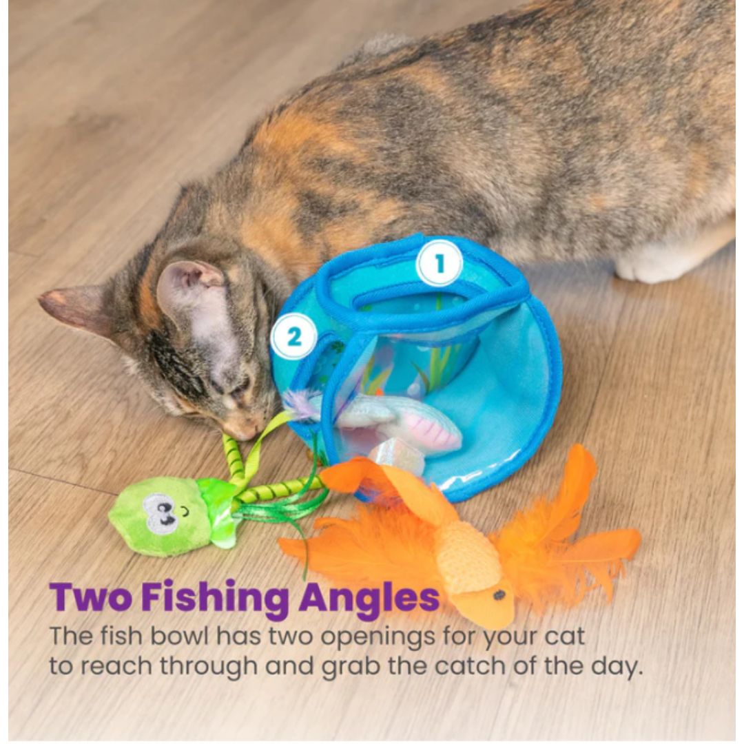 Hide & Seek Fish Bowl