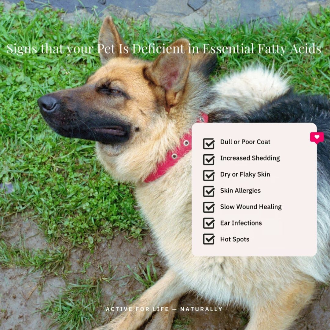 Nutriflex® OmegaMax Omega 3 For Dogs & Cats - Fish Oil Softgels 120 x 1000mg