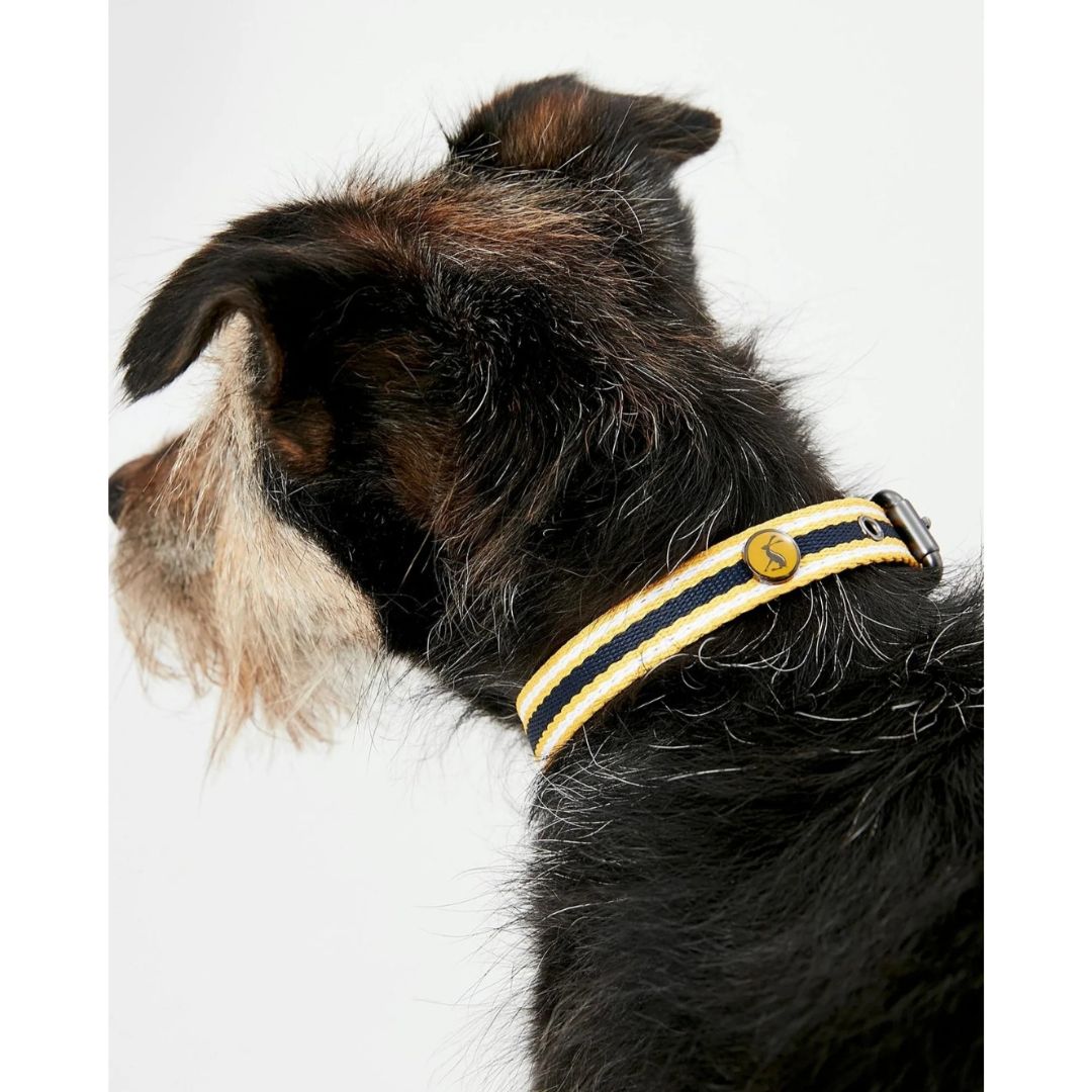 Rosewood & Joules Navy Coastal Dog Collars