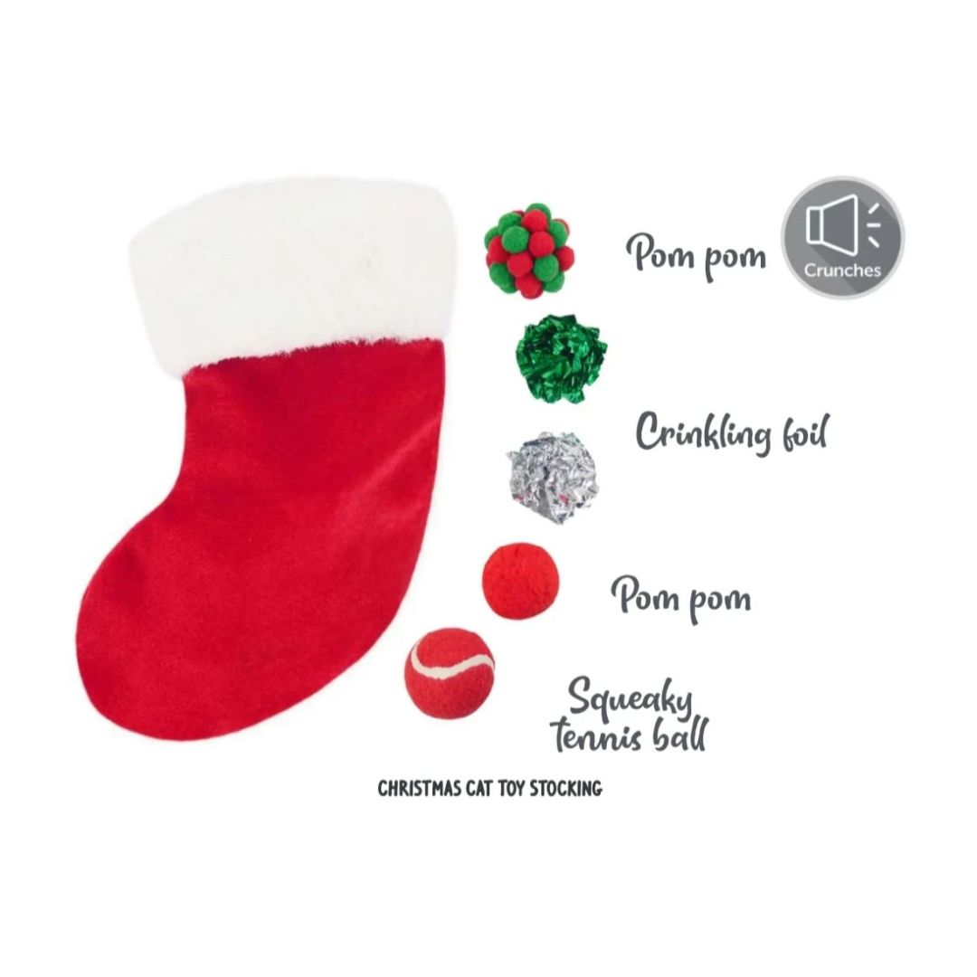 Christmas Cat Toy Stocking
