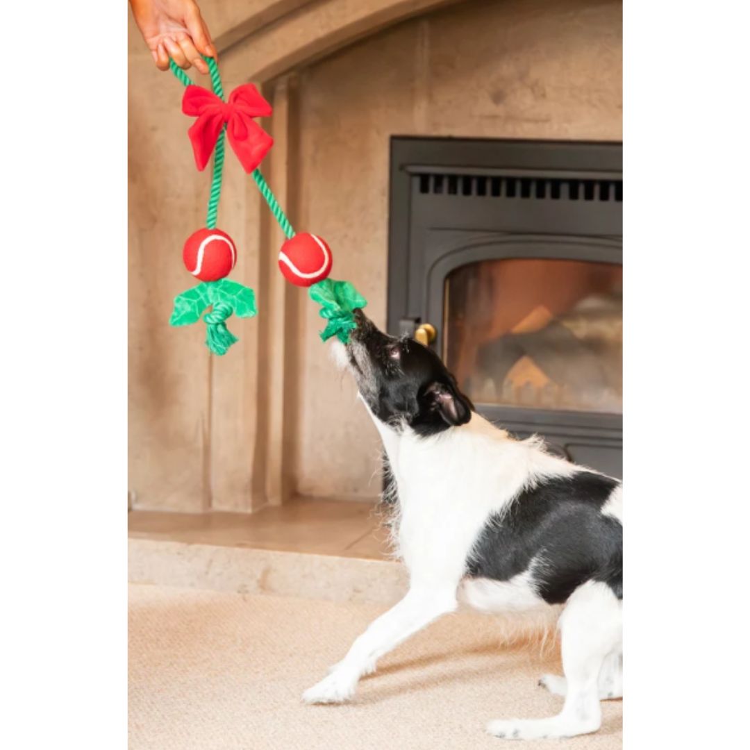 Holly Jolly Rope Toy