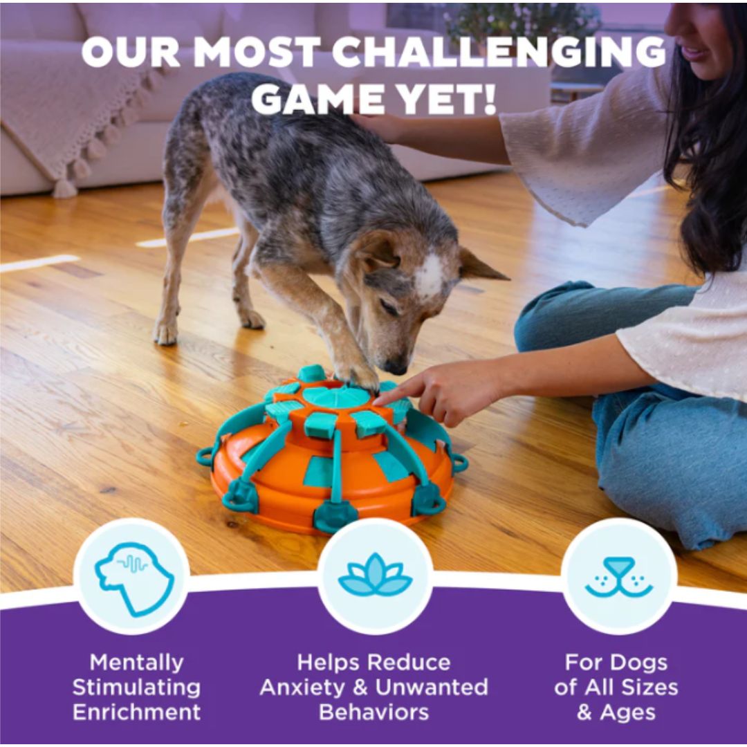 Nina Ottosson Tower of Treats