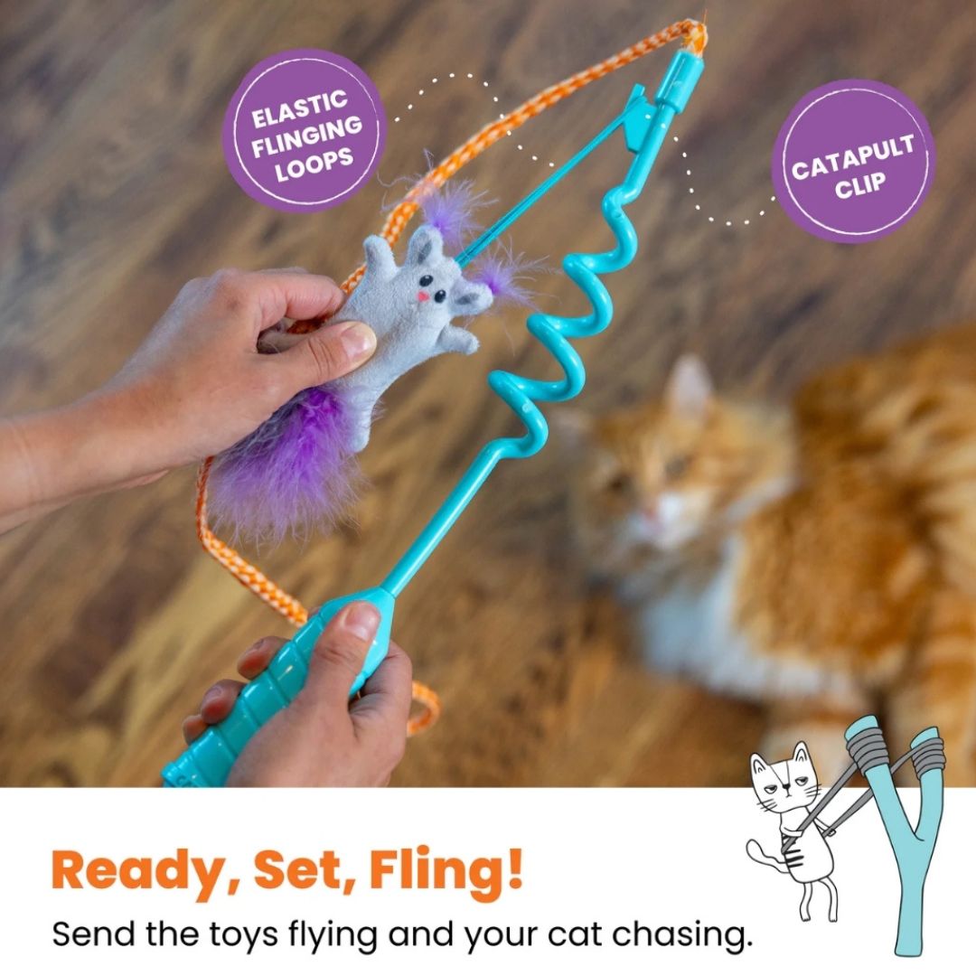 Cat-Apult Spring Wand