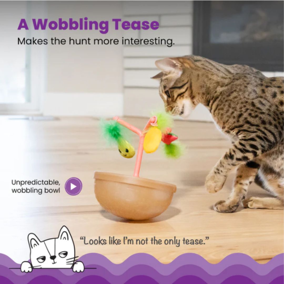 Catstages Hunt 'n Wobble Fruit Bowl