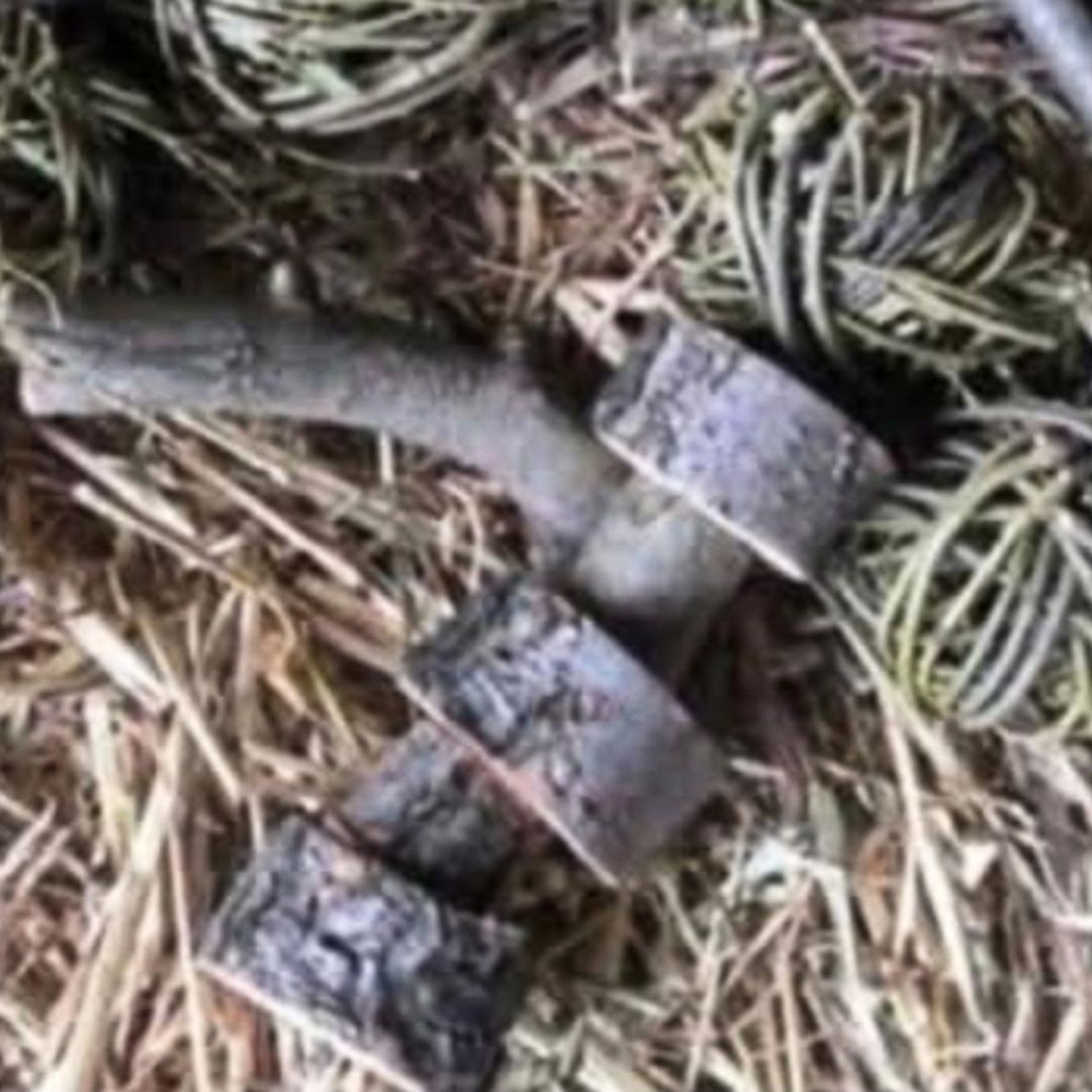 Chucky Willow Toys for Rabbits, Guinea Pigs & Chinchillas