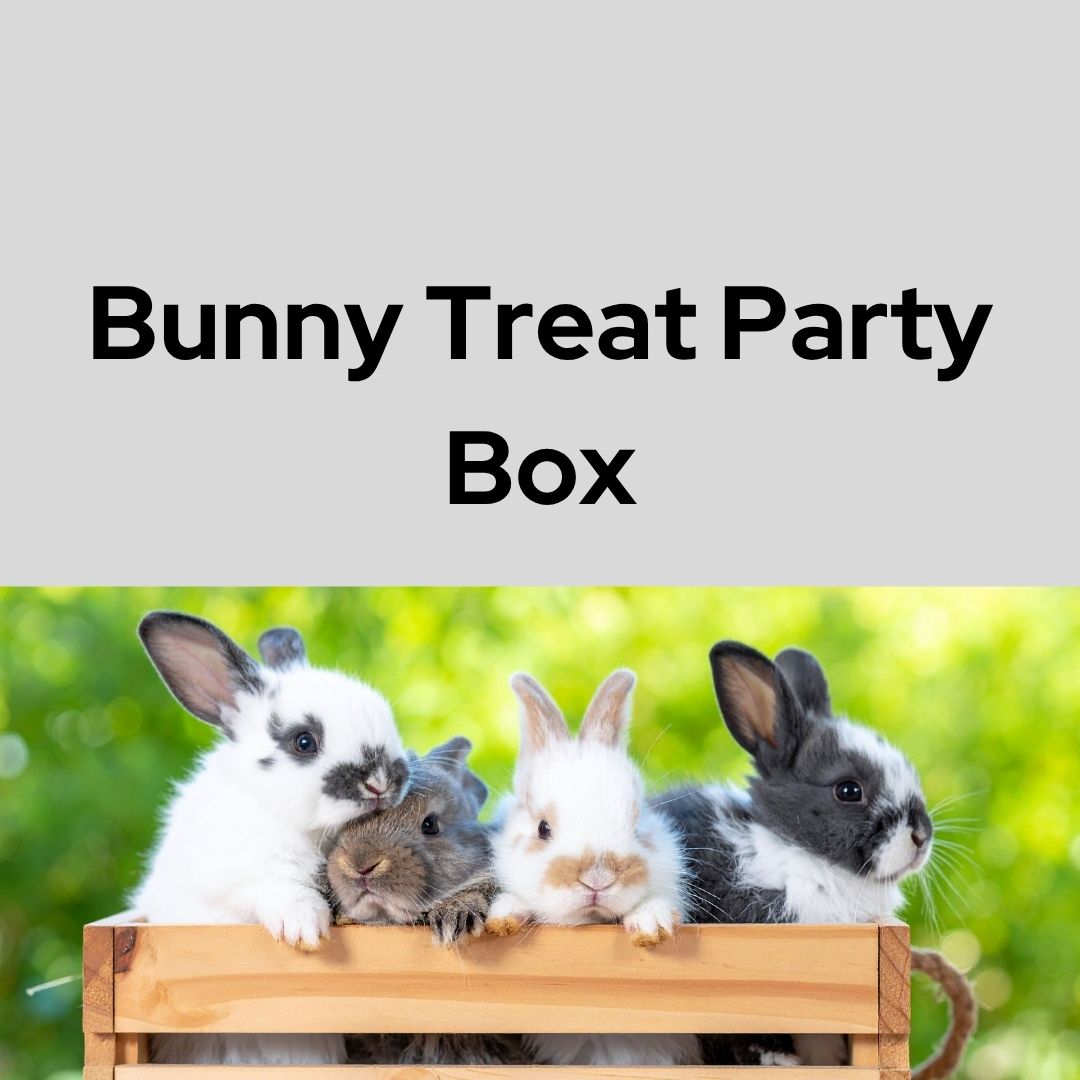 Bunny Treat Party Box