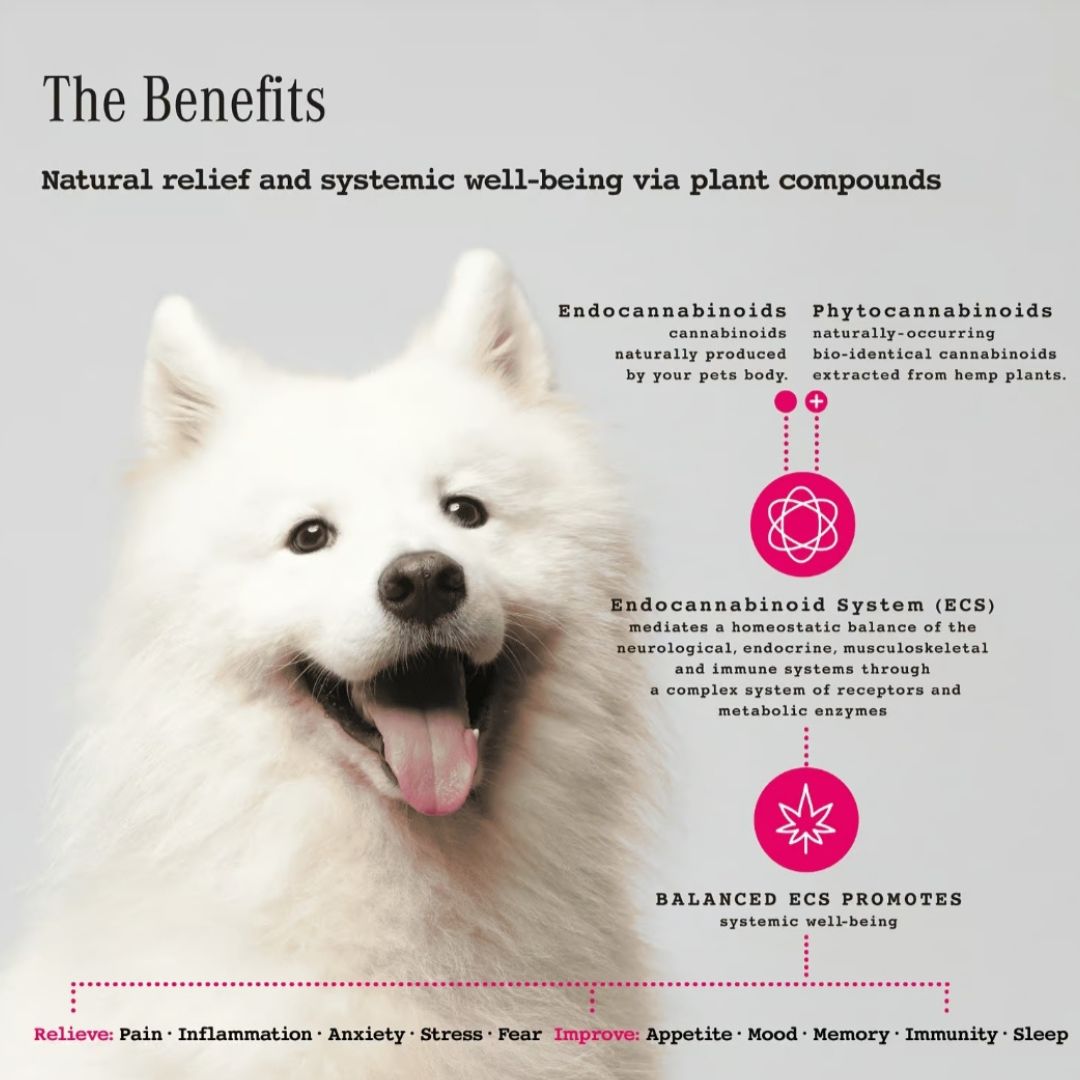 Nutriflex® CannaMax Gold CBD Oil For Dogs and Cats 600mg