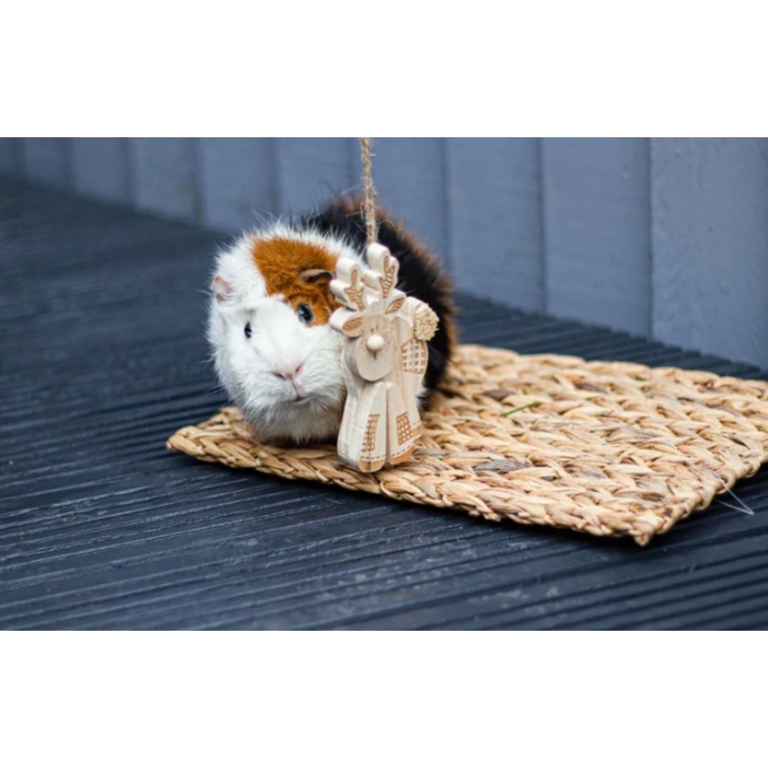 Patchwork Reindeer Gnaw