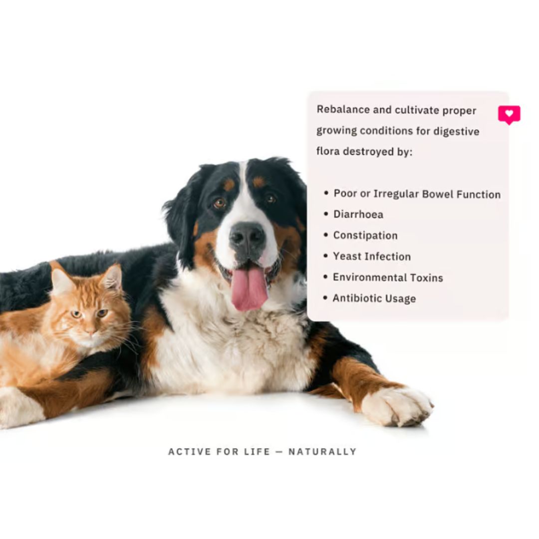 NutriFlex® FloraMax Probiotic for Dogs and Cats – Digestive Health and Gut Balance