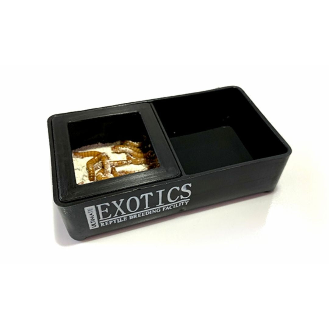 Mealworm & Water Bowl Combo