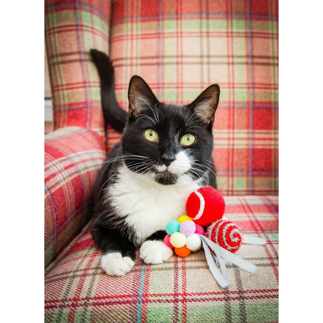 Festive Ball Gift Box