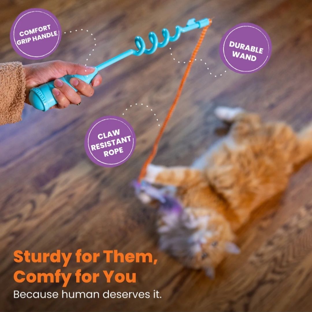 Cat-Apult Spring Wand