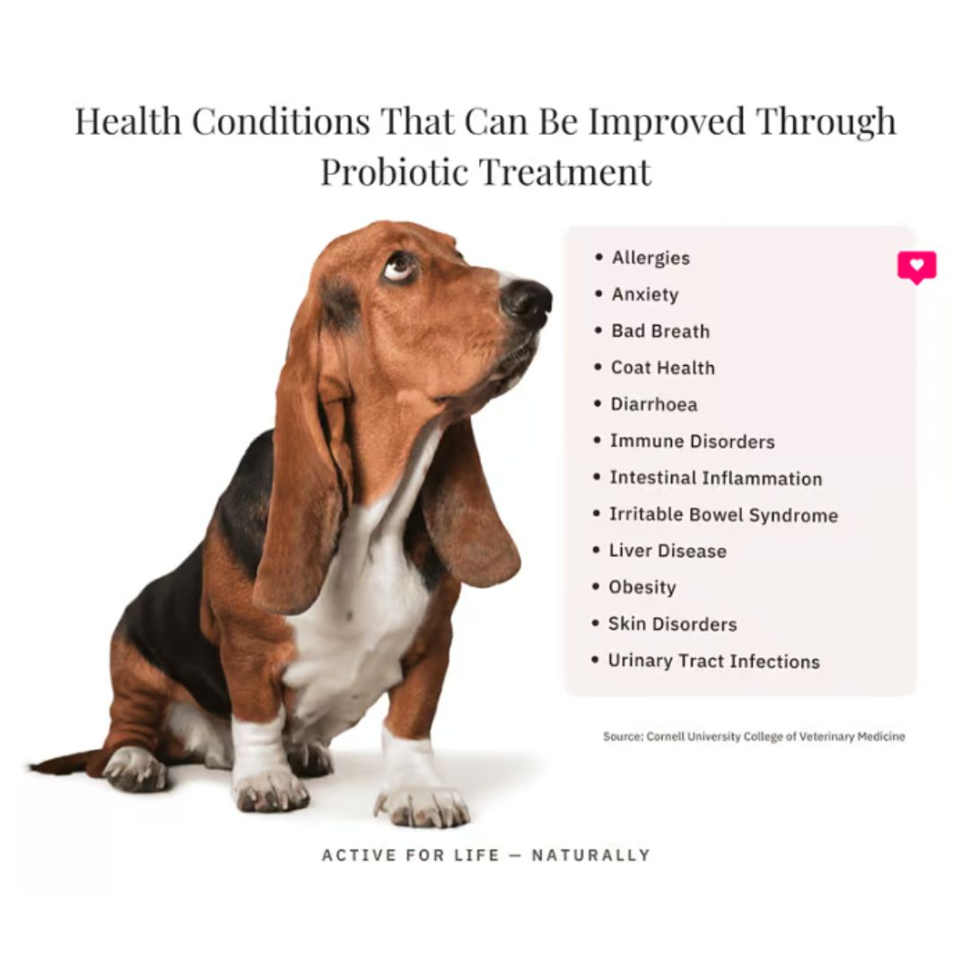 NutriFlex® FloraMax Probiotic for Dogs and Cats – Digestive Health and Gut Balance