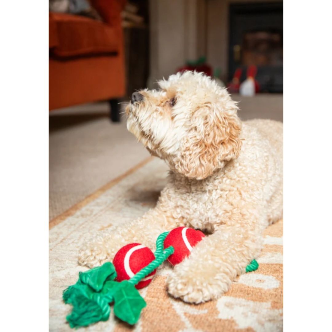 Holly Jolly Rope Toy
