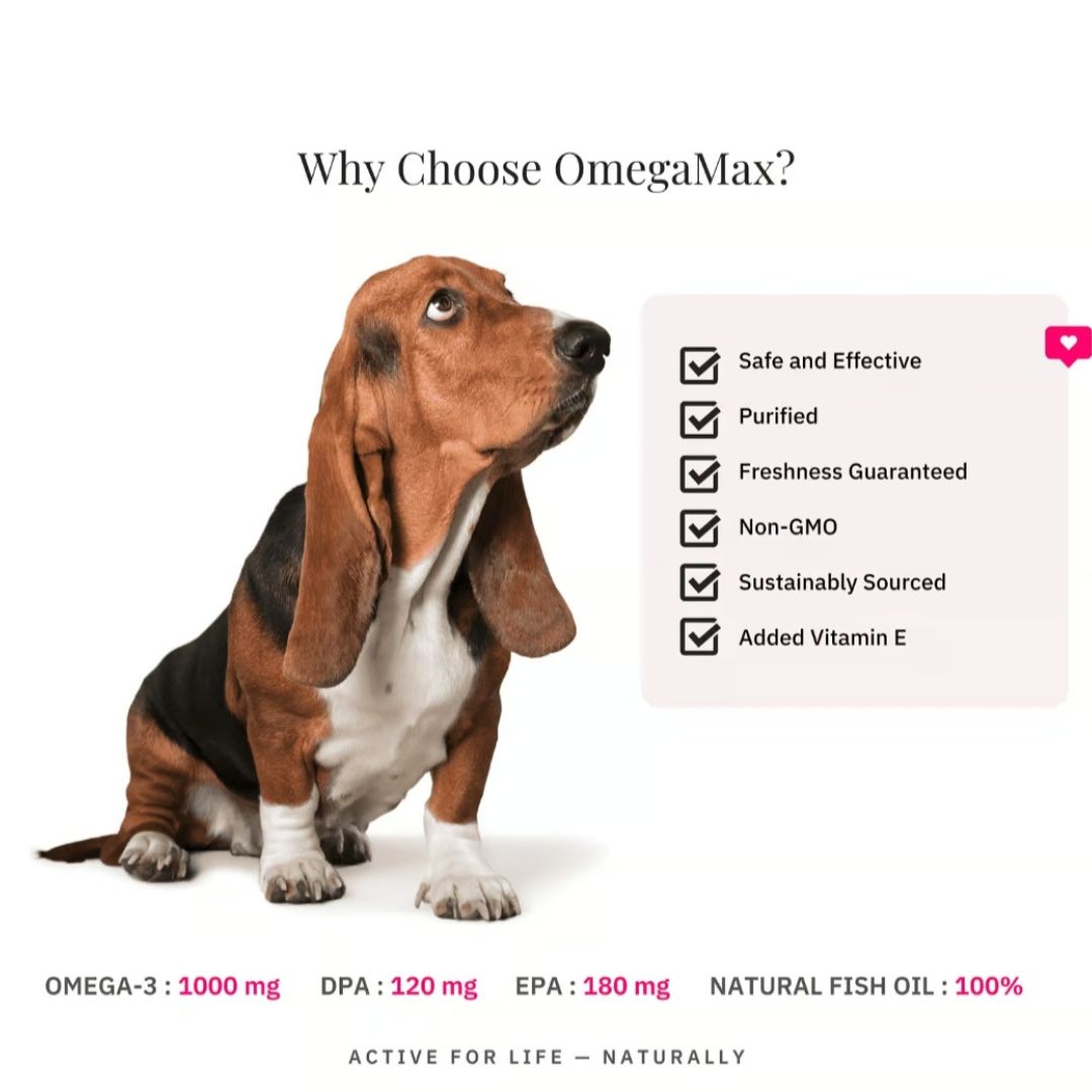 Nutriflex® OmegaMax Omega 3 For Dogs & Cats - Fish Oil Softgels 120 x 1000mg