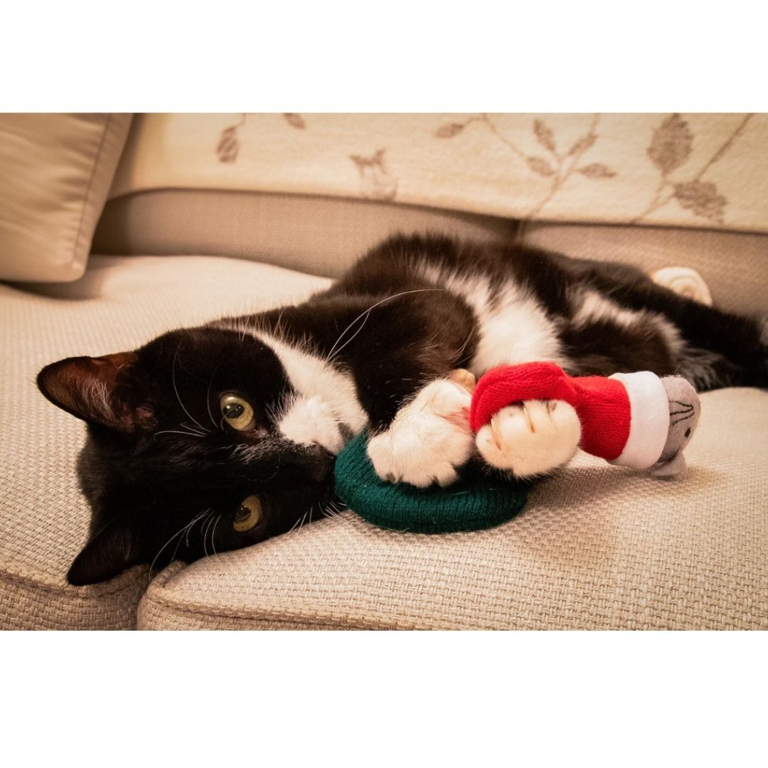 Martha & Mayor Mice Duo