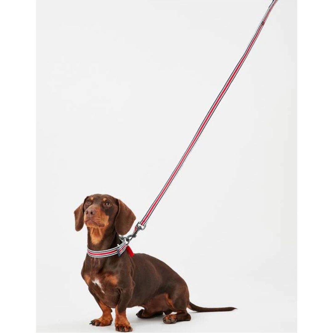 Rosewood & Joules Striped Lead