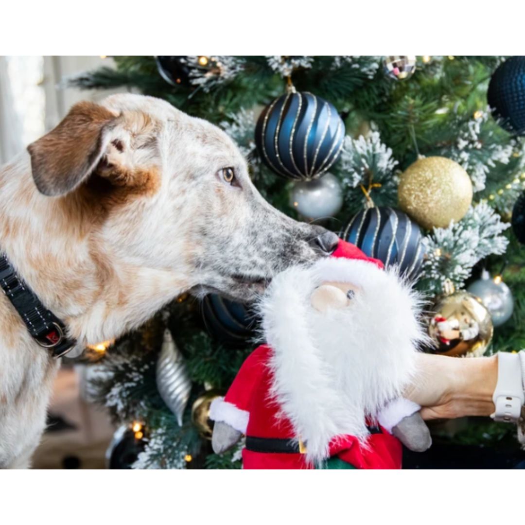 Sebastian Santa