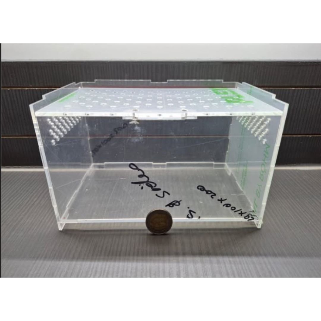 Acrylic Terrestrial Enclosures (Ground Dwelling Species)