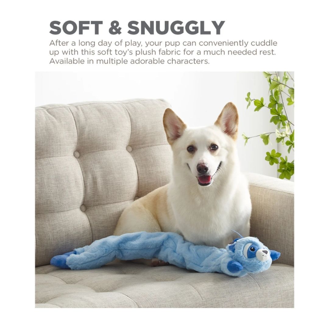 Longidudes Raccoon Blue