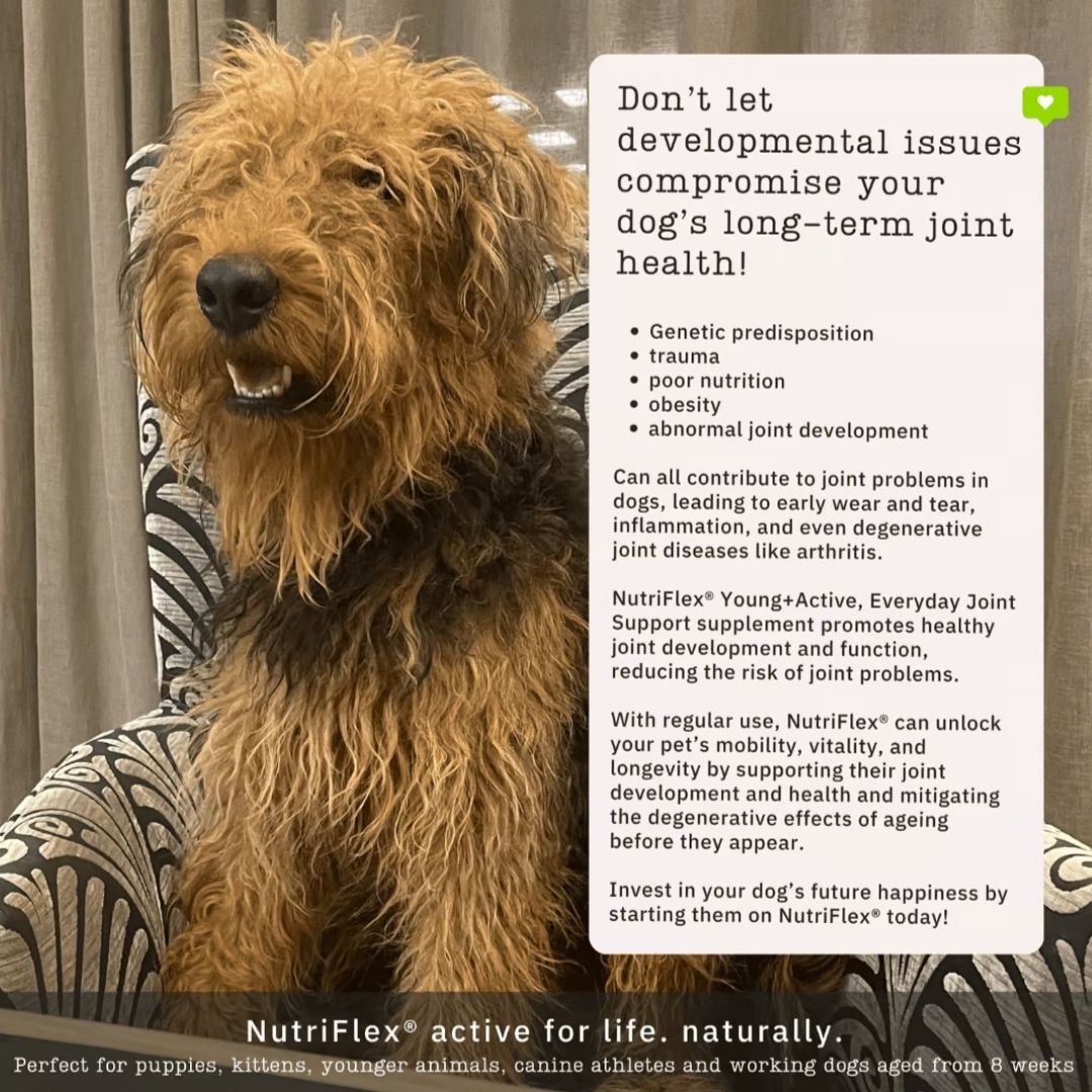 Nutriflex® Maintenance