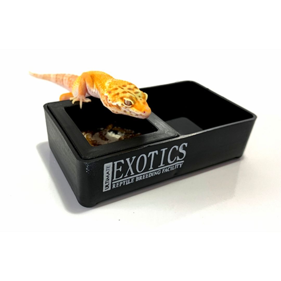 Mealworm & Water Bowl Combo