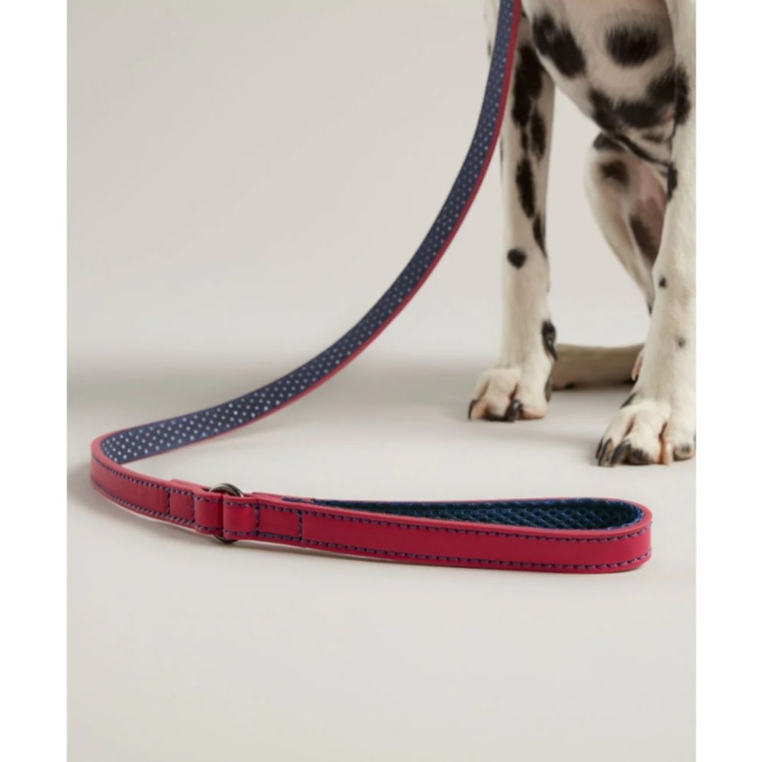 Rosewood & Joules - Pink Leather Lead