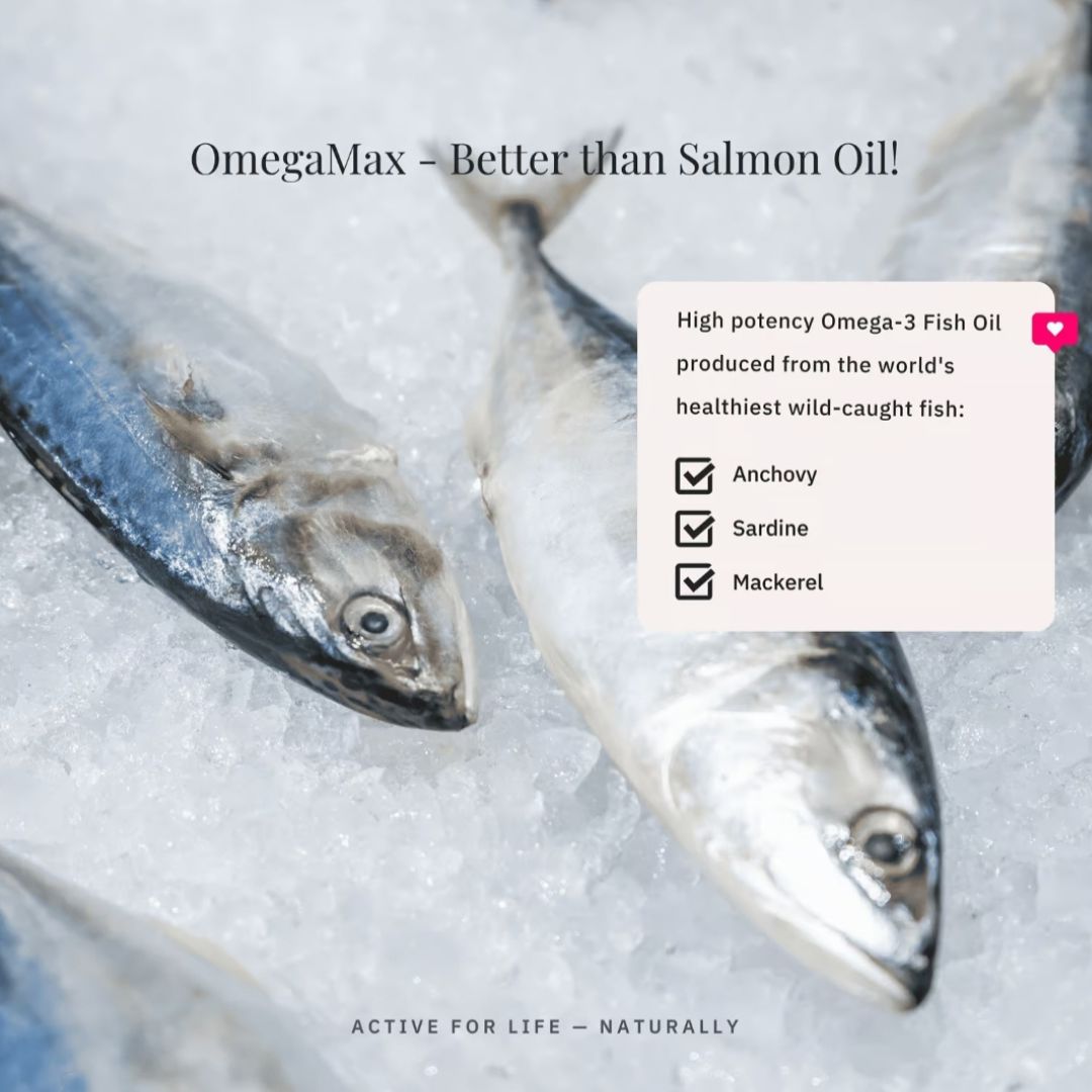 Nutriflex® OmegaMax Omega 3 For Dogs & Cats - Fish Oil Softgels 120 x 1000mg