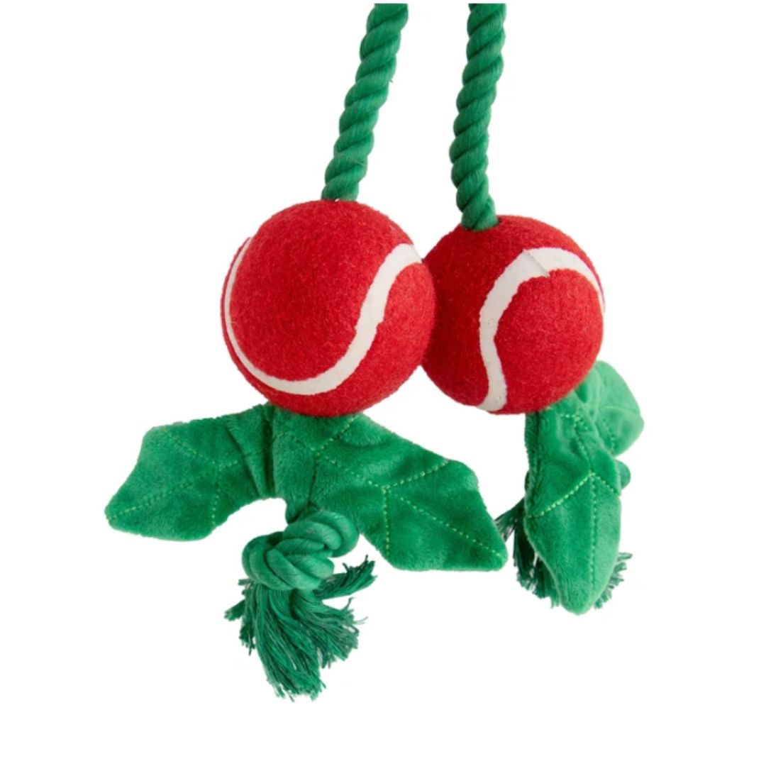 Holly Jolly Rope Toy