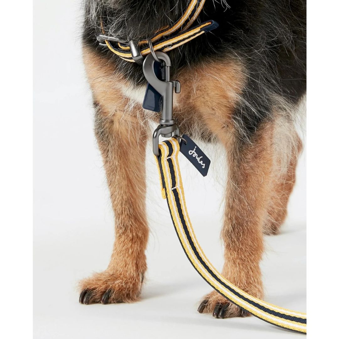 Rosewood & Joules Navy Coastal Lead