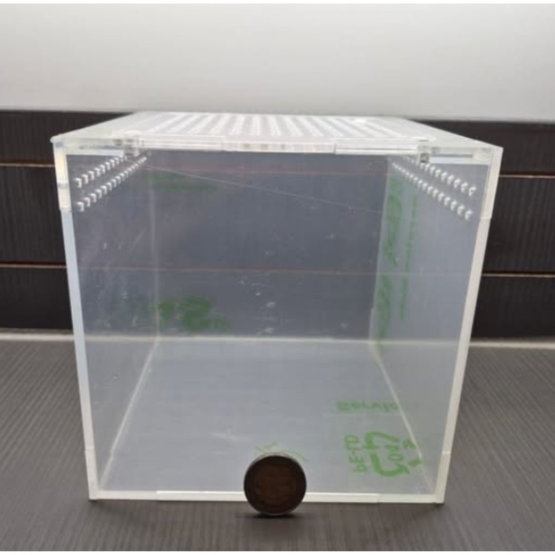Acrylic Terrestrial Enclosures (Ground Dwelling Species)