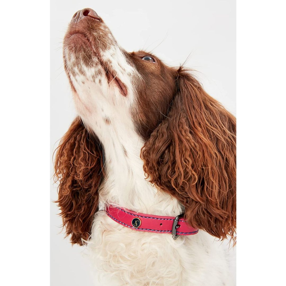 Rosewood & Joules - Pink Leather Collars